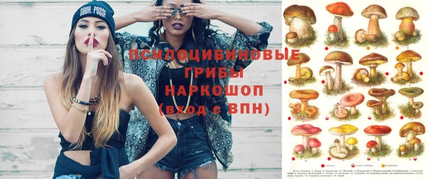 гидропоника Абаза