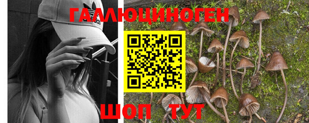 Нижневартовск  Галлюциногенные грибы GOLDEN TEACHER  Вход с VPN 