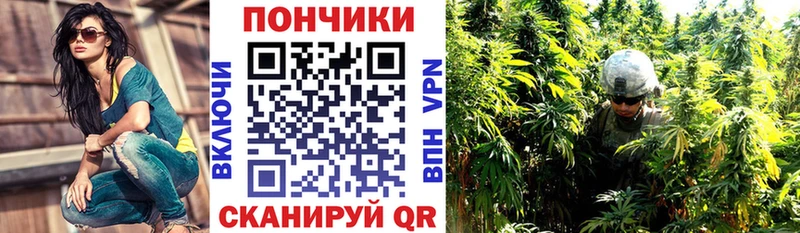Бошки марихуана конопля  где можно купить наркотик  Нижневартовск 